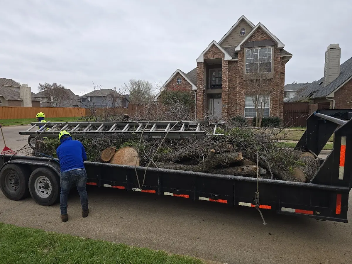 Expert Lot Clearing with proper safety equipment in Pinch